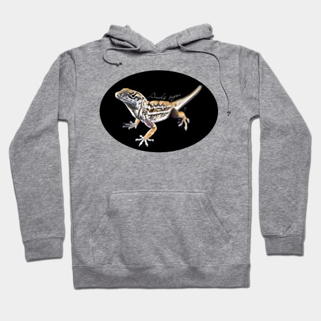 Brown anole with scientific name Hoodie by austinmg